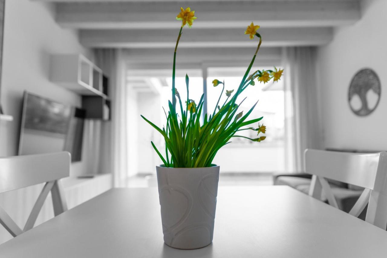 Verona Urban Apartment エクステリア 写真